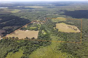 11816 SE County Road 234, Micanopy, FL 32667 - Photo 71