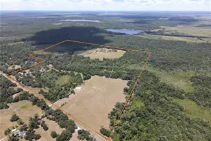 11816 SE County Road 234, Micanopy, FL 32667 - Photo 69