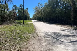 10304 NW 25th Ct, Branford, FL 32008 - Photo 35