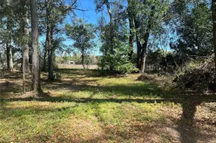 10304 NW 25th Ct, Branford, FL 32008 - Photo 7