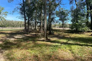 10304 NW 25th Ct, Branford, FL 32008 - Photo 9