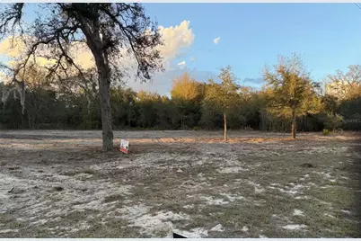 Tbd NE 106th Terrace, Bronson, FL 32621 - Photo 3