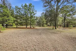 22317 NW 188 St, High Springs, FL 32643 - Photo 63