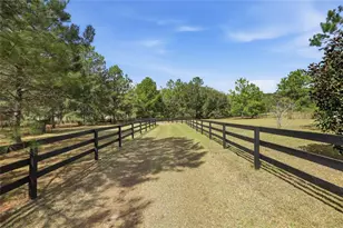 22317 NW 188 St, High Springs, FL 32643 - Photo 3