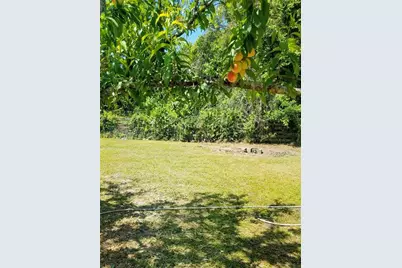 12182 SW State Road 45, Archer, FL 32618 - Photo 49