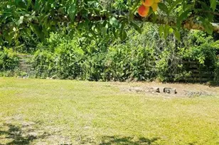 12182 SW State Rd 45, Archer, FL 32618 - Photo 49