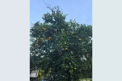 12182 SW State Road 45, Archer, FL 32618 - Photo 45