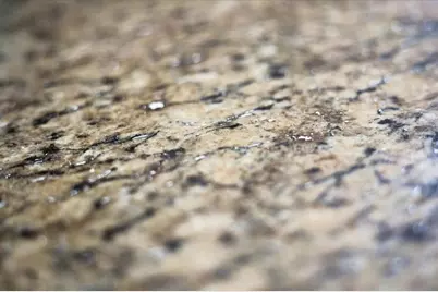 2600 SE 48th Avenue, Trenton, FL 32693 - Photo 13