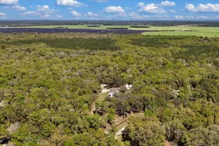 2600 SE 48th Ave, Trenton, FL 32693 - Photo 91