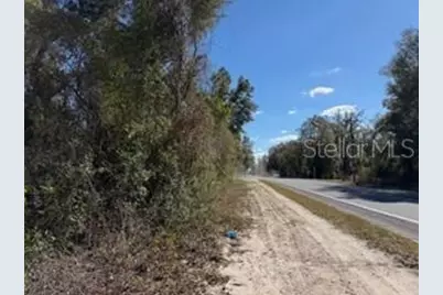 1668 NE 592nd Street, Old Town, FL 32680 - Photo 35