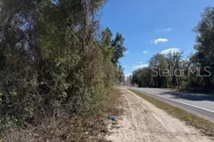 1668 NE 592nd St, Old Town, FL 32680 - Photo 35