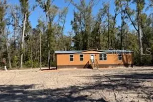 1668 NE 592nd St, Old Town, FL 32680 - Photo 3