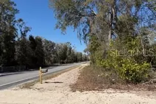 1668 NE 592nd St, Old Town, FL 32680 - Photo 33