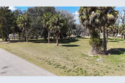 Tbd SW Houston Avenue, Branford, FL 32008 - Photo 19