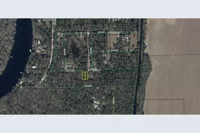 Tbd SW 14th Place, Bell, FL 32619 - Photo 3