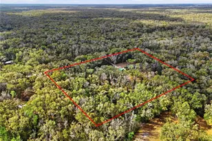 167 NE 212th Ave, Old Town, FL 32680 - Photo 49