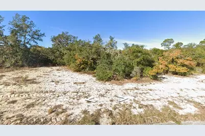 1238 Baltic Drive, Kissimmee, FL 34759 - Photo 3