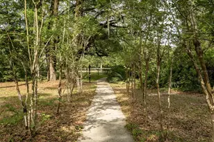 5106 SW 177th St, Archer, FL 32618 - Photo 5