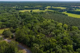 5106 SW 177th St, Archer, FL 32618 - Photo 45