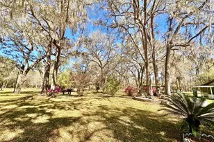 4220 NW 235th Ave, Alachua, FL 32615 - Photo 35