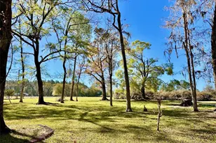 4220 NW 235th Ave, Alachua, FL 32615 - Photo 29
