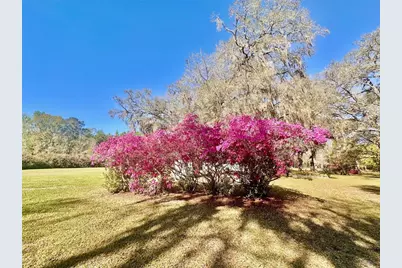 4220 NW 235th Avenue, Alachua, FL 32615 - Photo 33