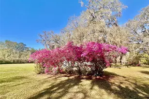 4220 NW 235th Ave, Alachua, FL 32615 - Photo 33