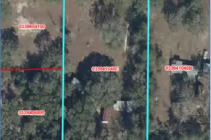 10330 NE 90th St, Bronson, FL 32621 - Photo 31