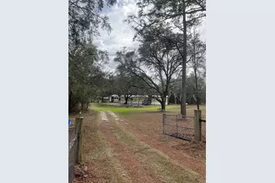 10330 NE 90th Street, Bronson, FL 32621 - Photo 3