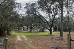 10330 NE 90th St, Bronson, FL 32621 - Photo 3