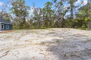 11231 NW 92 Ct, Chiefland, FL 32626 - Photo 31