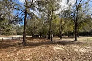 357 SW Conestoga Way, Fort White, FL 32038 - Photo 35