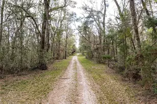 0 65th Pl A, Branford, FL 32008 - Photo 15