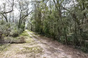 0 65th Pl A, Branford, FL 32008 - Photo 13