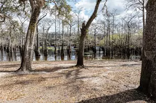 0 65th Pl A, Branford, FL 32008 - Photo 33