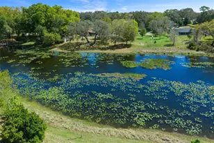 9923 E St Regis Ct, Inverness, FL 34450 - Photo 13