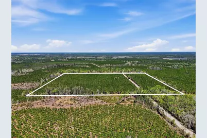 Tbd SE Pounds Hammock Road, Lake City, FL 32025 - Photo 9