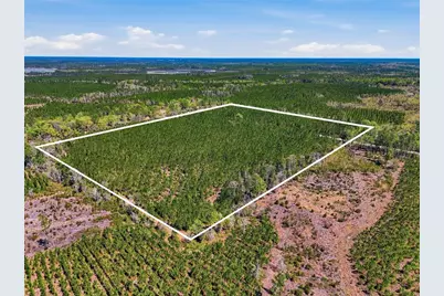 Tbd SE Pounds Hammock Road, Lake City, FL 32025 - Photo 3