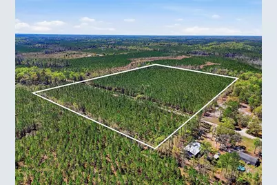 Tbd SE Pounds Hammock Road, Lake City, FL 32025 - Photo 1