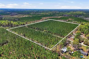 Tbd SE Pounds Hammock Rd, Lake City, FL 32025 - Photo 1