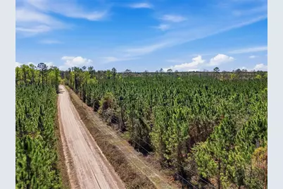 Tbd SE Pounds Hammock Road, Lake City, FL 32025 - Photo 5