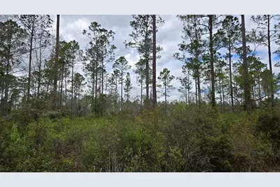 Lot 10 NW Natalie Way, Lake City, FL 32055 - Photo 3