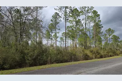 Lot 10 NW Natalie Way, Lake City, FL 32055 - Photo 5