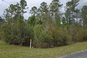 Lot 9 NW Natalie Way, Lake City, FL 32055 - Photo 1