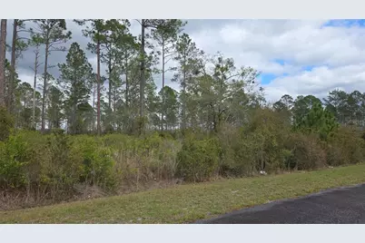 Lot 9 NW Natalie Way, Lake City, FL 32055 - Photo 3