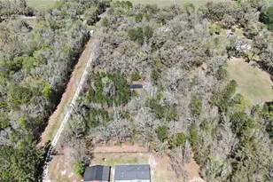 10750 NW 190th St, Micanopy, FL 32667 - Photo 13