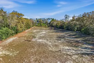 8920 NE 8th Pl, High Springs, FL 32643 - Photo 35