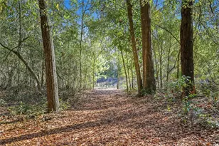 8920 NE 8th Pl, High Springs, FL 32643 - Photo 33