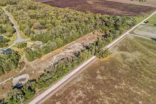 8920 NE 8th Pl, High Springs, FL 32643 - Photo 37