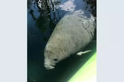 1376 Riverside Avenue, Fort White, FL 32038 - Photo 35